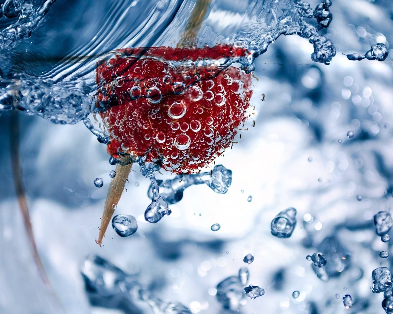 Обои вода, малина, капли, ягода, пузыри, в воде, water, raspberry, drops, berry, bubbles, in the water разрешение 2880x1800 Загрузить