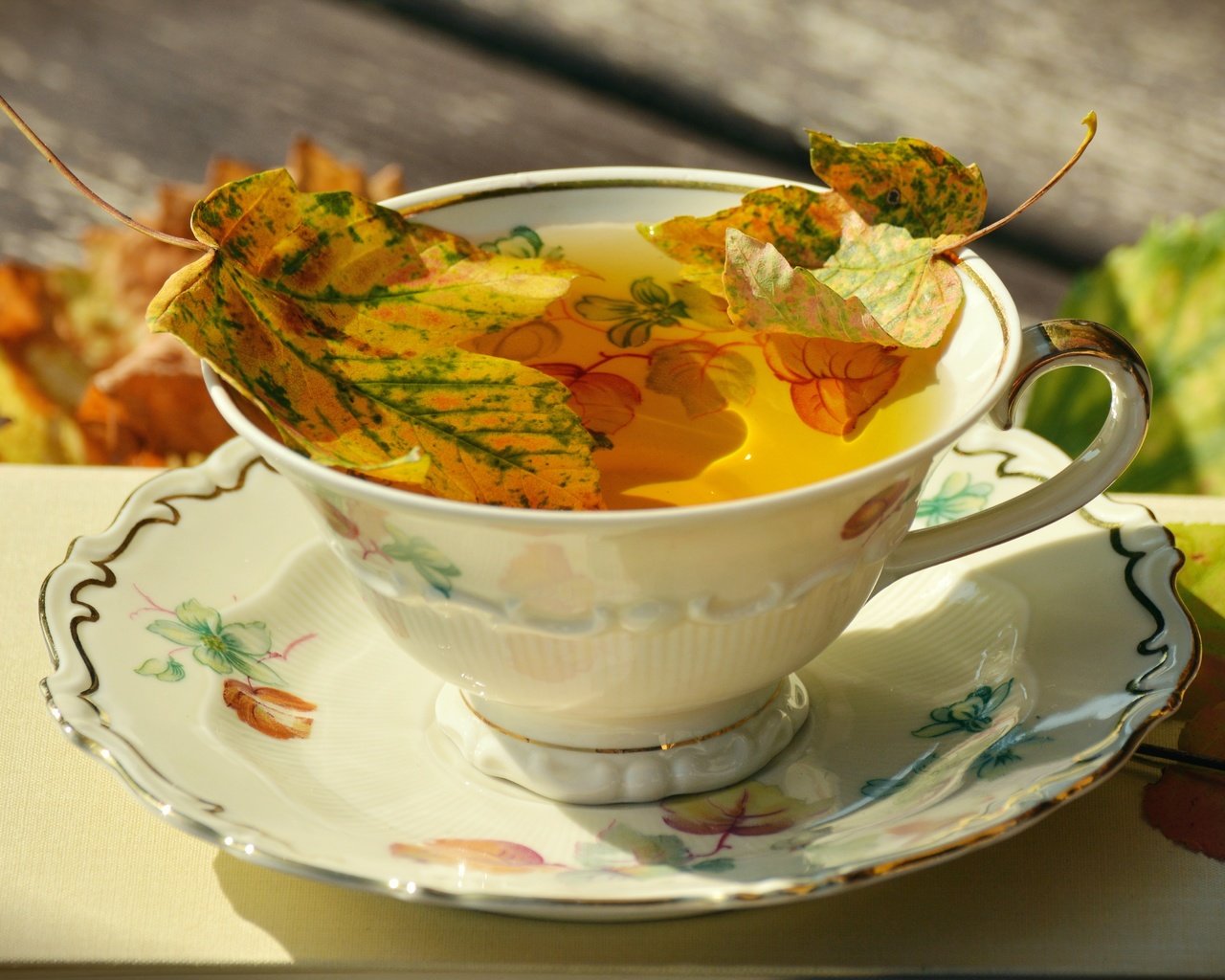 Обои блюдце, чашка, чай, фарфор, осенние листья, saucer, cup, tea, porcelain, autumn leaves разрешение 6000x3241 Загрузить