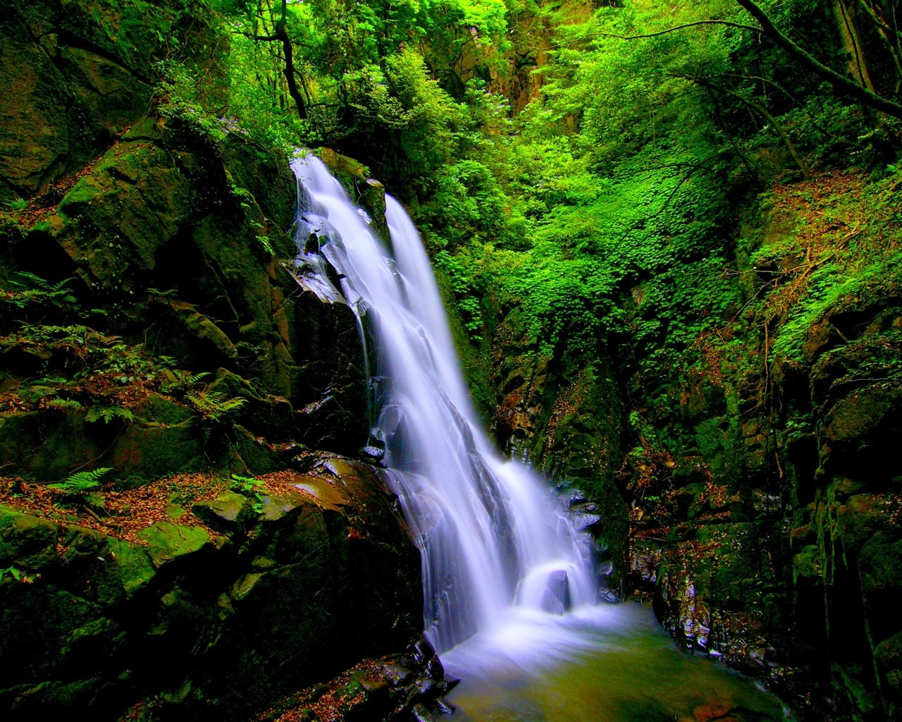 Обои камни, лес, пейзаж, скала, водопад, мох, stones, forest, landscape, rock, waterfall, moss разрешение 3000x2000 Загрузить