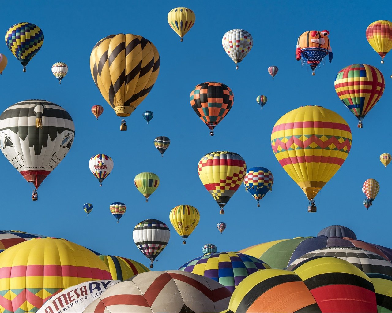Обои воздушные шары, голубое небо, фестиваль, balloons, blue sky, festival разрешение 3170x2100 Загрузить
