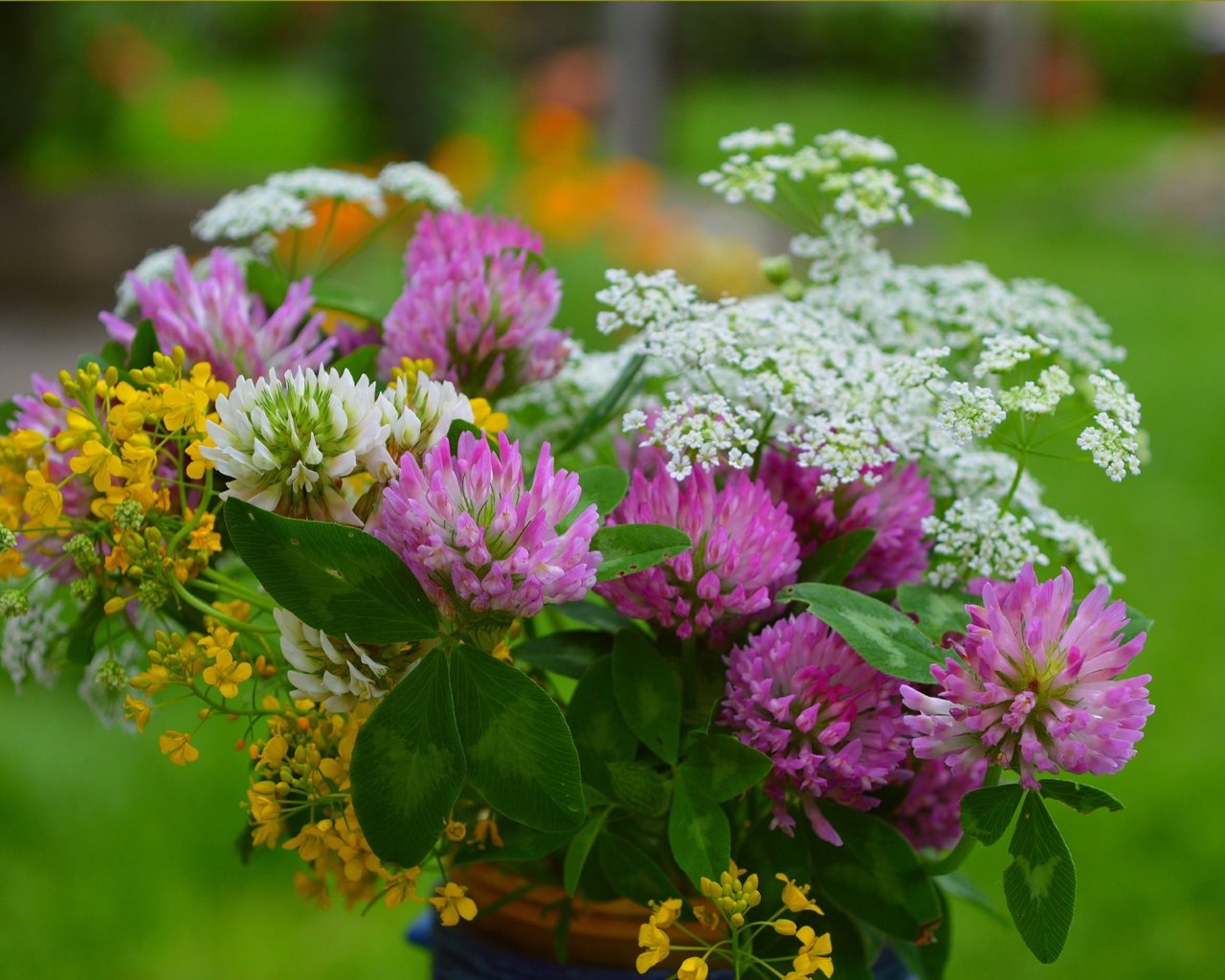 Обои цветы, клевер, весна, букет, полевые цветы, тысячелистник, flowers, clover, spring, bouquet, wildflowers, yarrow разрешение 3004x1877 Загрузить