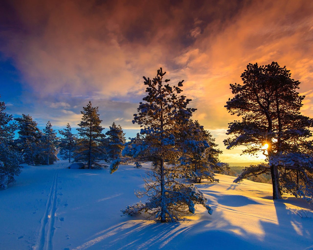 Обои небо, норвегия, облака, деревья, солнце, природа, лес, закат, зима, the sky, norway, clouds, trees, the sun, nature, forest, sunset, winter разрешение 1920x1080 Загрузить