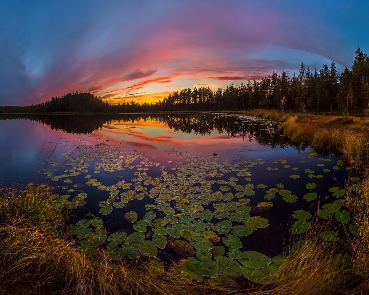 Обои небо, озеро, растения, листья, закат, отражение, the sky, lake, plants, leaves, sunset, reflection разрешение 2000x1204 Загрузить