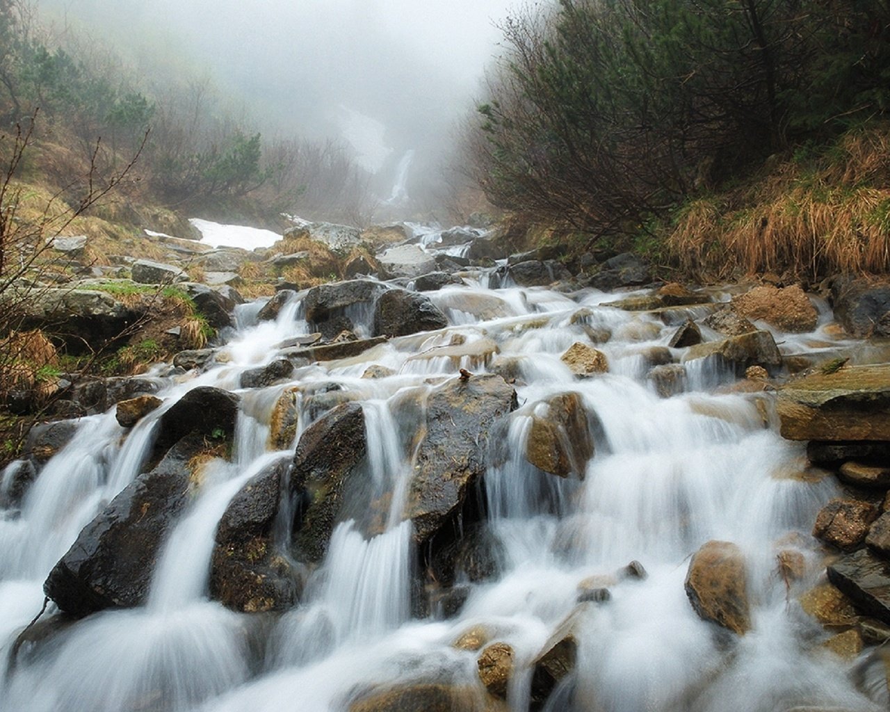 Обои река, скалы, природа, камни, лес, ручей, водопад, карпаты, river, rocks, nature, stones, forest, stream, waterfall, carpathians разрешение 1920x1284 Загрузить