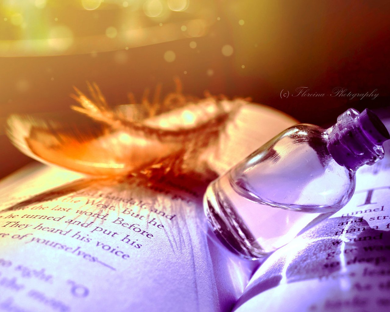 Обои книга, бутылочка, флакон, перышко, эликсир, book, bottle, a feather, elixir разрешение 1920x1200 Загрузить