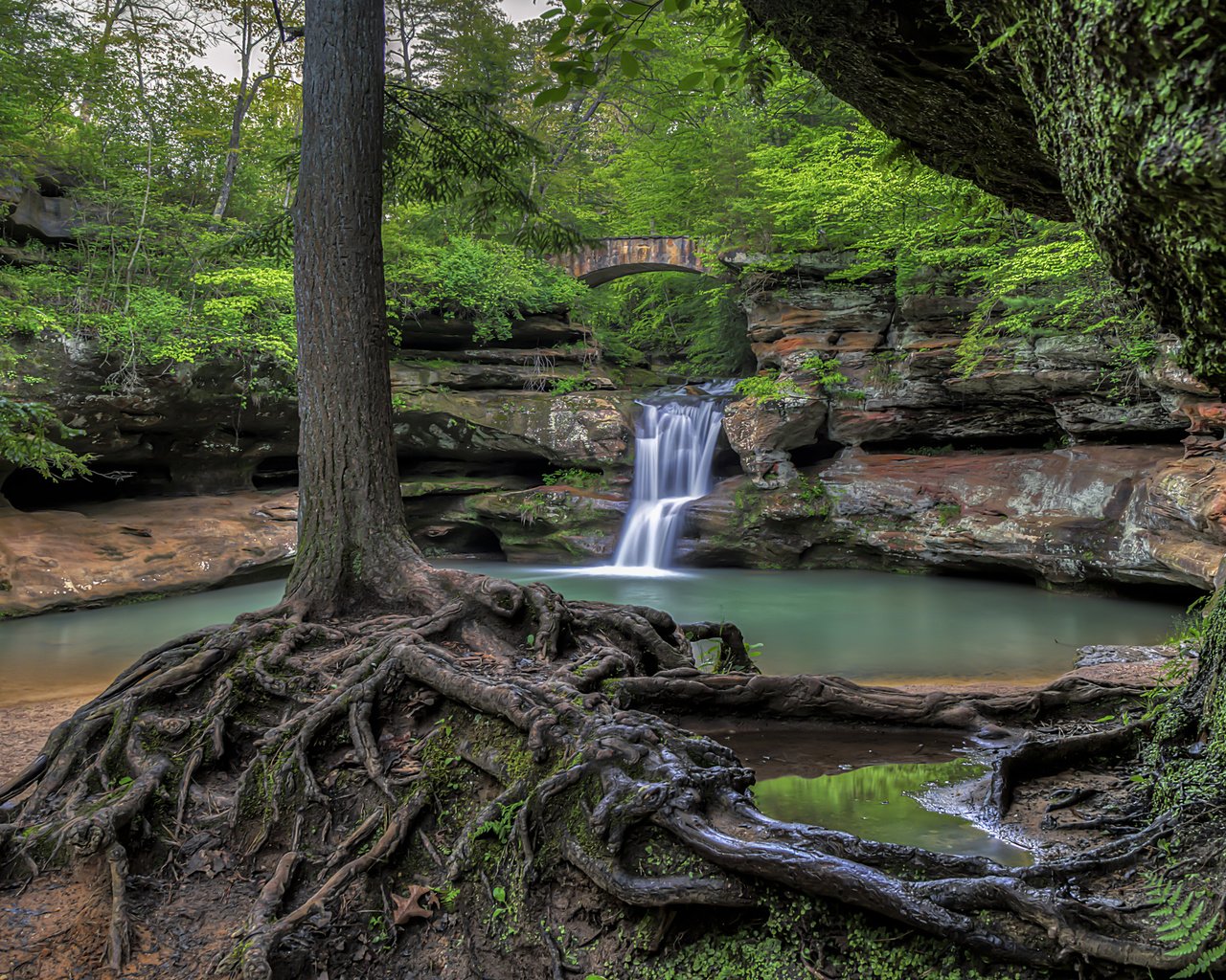 Обои река, скалы, природа, дерево, лес, водопад, корни, river, rocks, nature, tree, forest, waterfall, roots разрешение 3840x2400 Загрузить