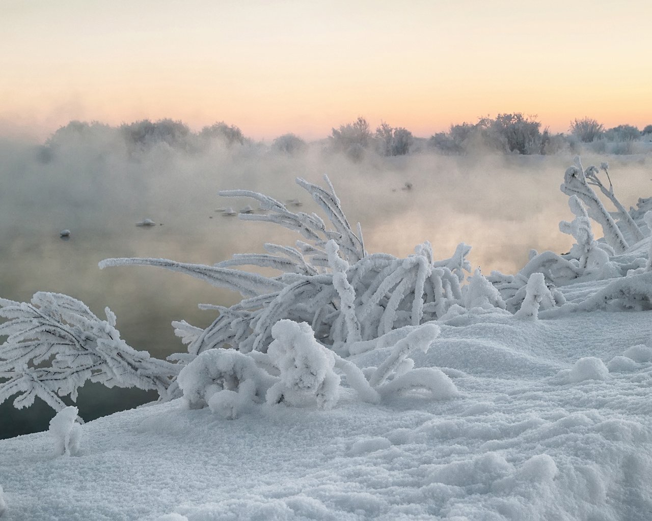 Обои река, снег, природа, растения, зима, туман, кусты, иней, river, snow, nature, plants, winter, fog, the bushes, frost разрешение 1920x1200 Загрузить