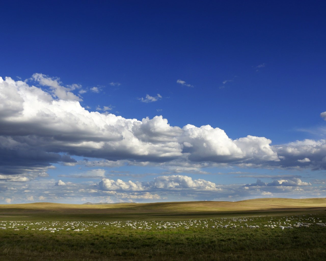 Обои небо, облака, поле, горизонт, голубое небо, the sky, clouds, field, horizon, blue sky разрешение 6000x3375 Загрузить