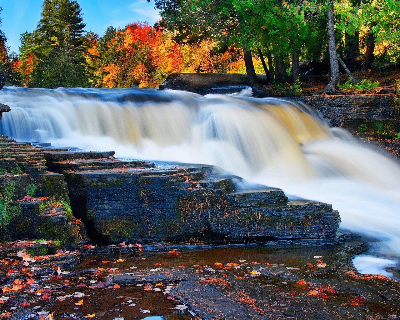 Обои лес, водопад, осень, forest, waterfall, autumn разрешение 2560x1600 Загрузить