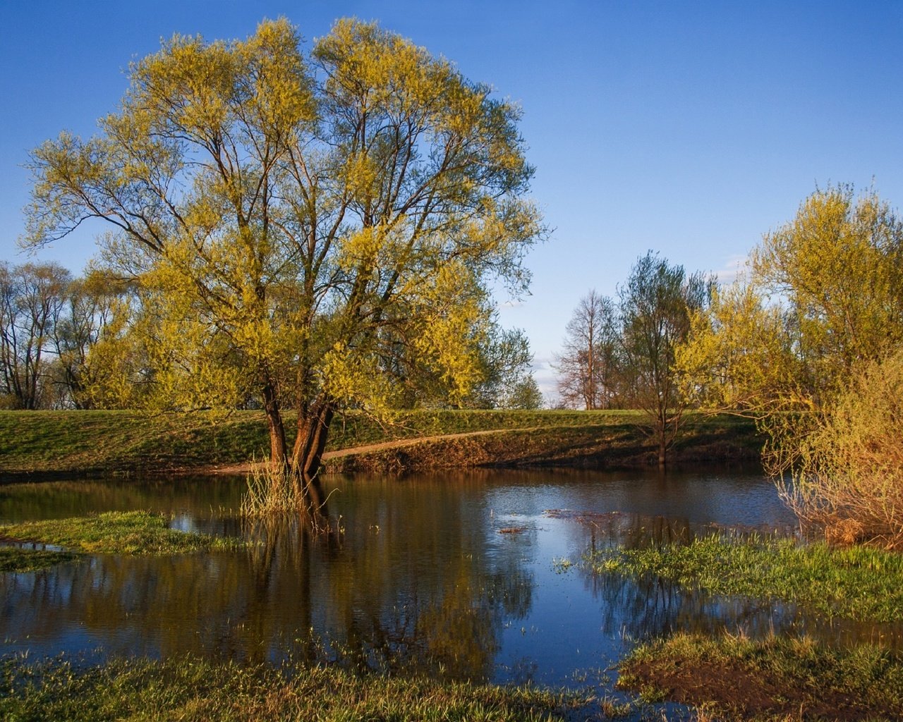 Обои деревья, река, природа, листья, осень, trees, river, nature, leaves, autumn разрешение 1920x1301 Загрузить