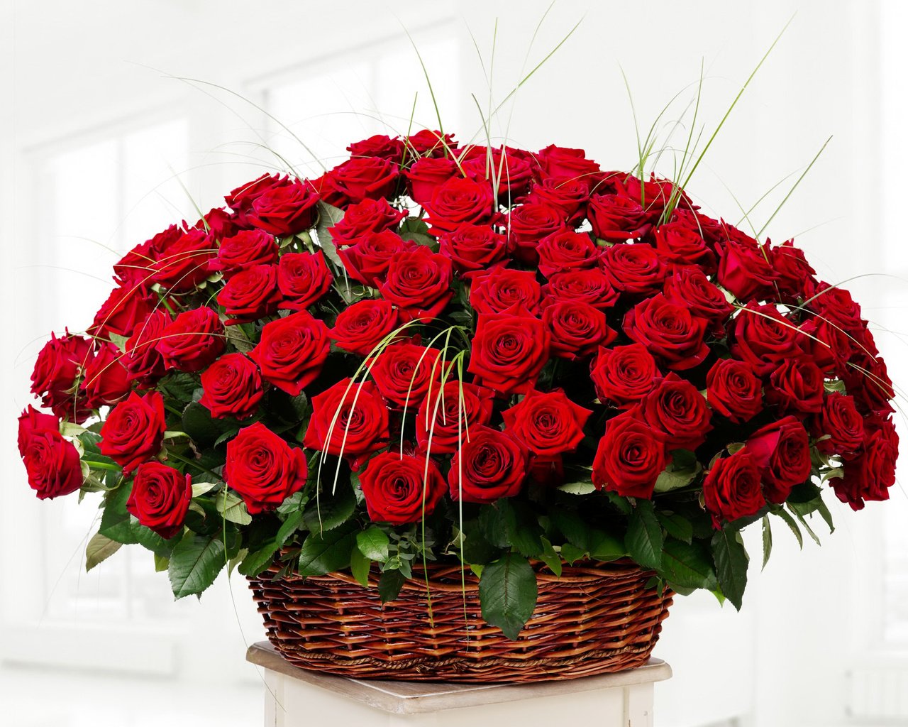 Обои цветы, розы, красные, букет, корзинка, flowers, roses, red, bouquet, basket разрешение 2000x1450 Загрузить