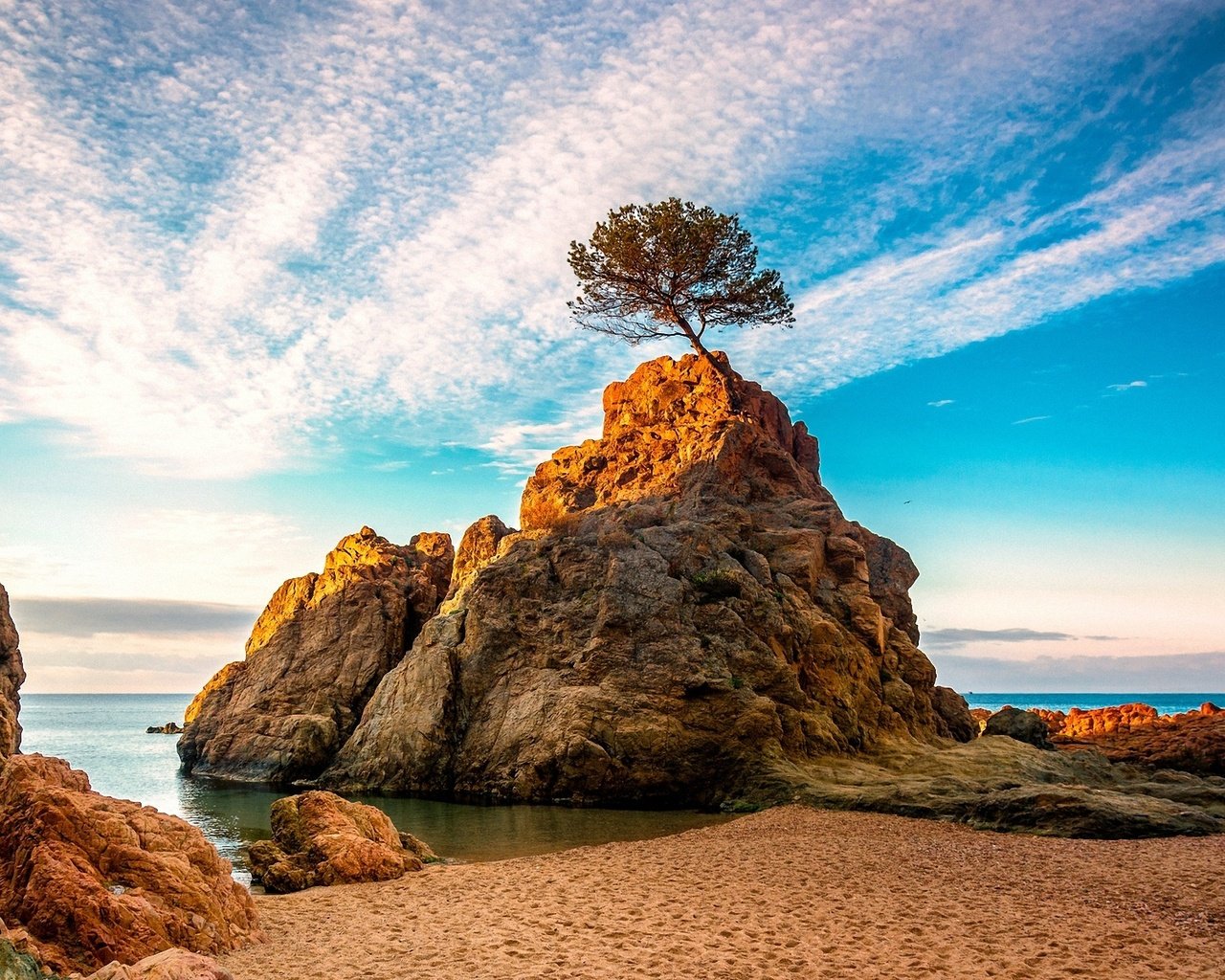 Обои вода, дерево, лучи, море, скала, рассвет, water, tree, rays, sea, rock, dawn разрешение 1920x1200 Загрузить