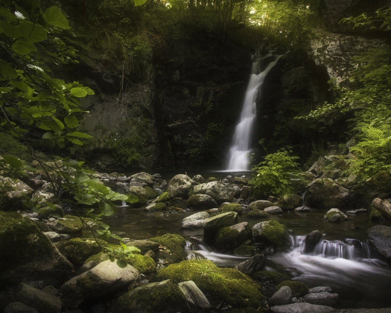 Обои вода, камни, водопад, мох, water, stones, waterfall, moss разрешение 4000x2667 Загрузить