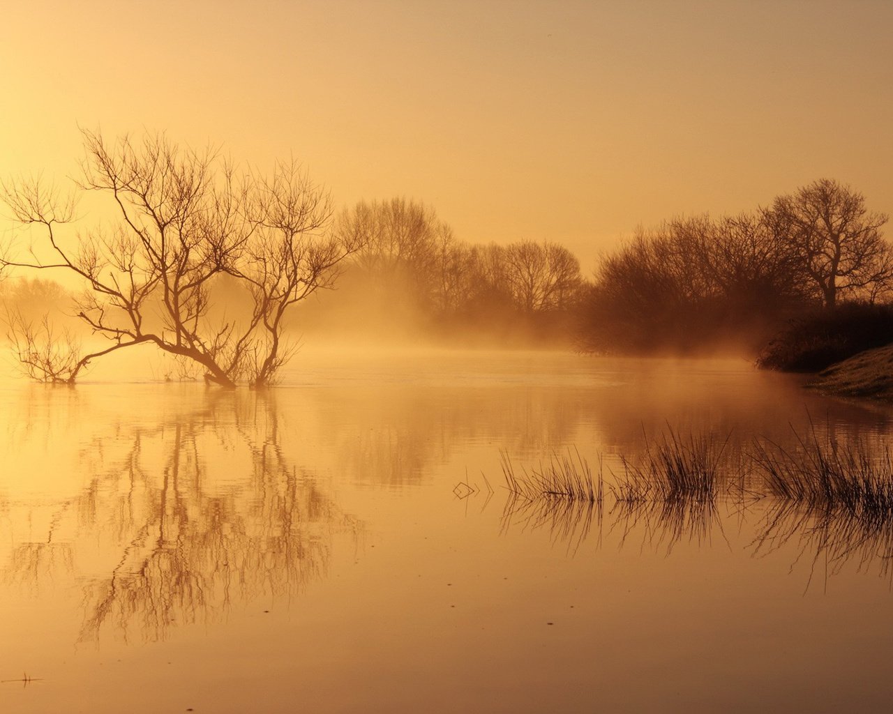 Обои река, природа, пейзаж, утро, туман, рассвет, river, nature, landscape, morning, fog, dawn разрешение 1920x1200 Загрузить