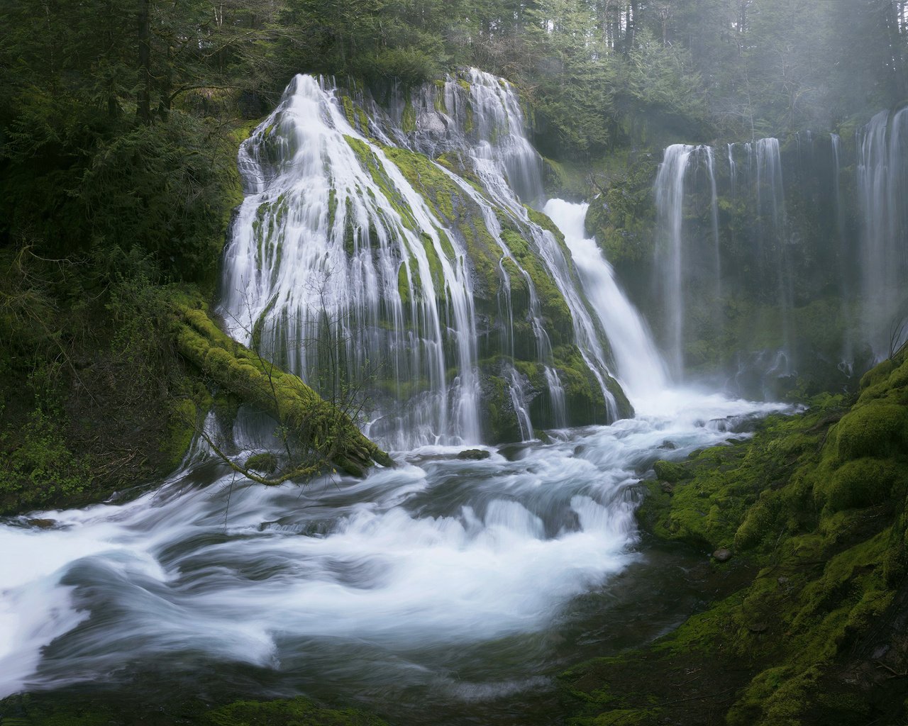 Обои деревья, вода, река, природа, лес, пейзаж, водопад, мох, trees, water, river, nature, forest, landscape, waterfall, moss разрешение 2560x1600 Загрузить