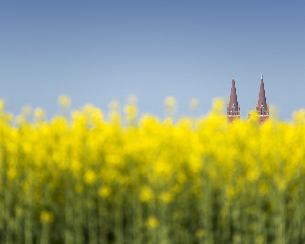 Обои цветы, природа, башни, хорватия, дьяково, flowers, nature, tower, croatia, djakovo разрешение 1920x1200 Загрузить