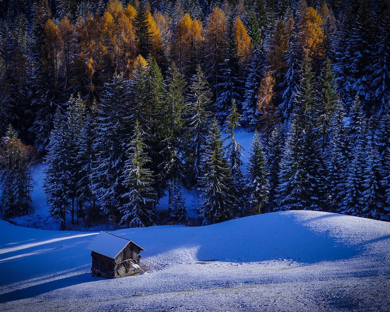 Обои деревья, снег, природа, лес, зима, домик, trees, snow, nature, forest, winter, house разрешение 1920x1200 Загрузить