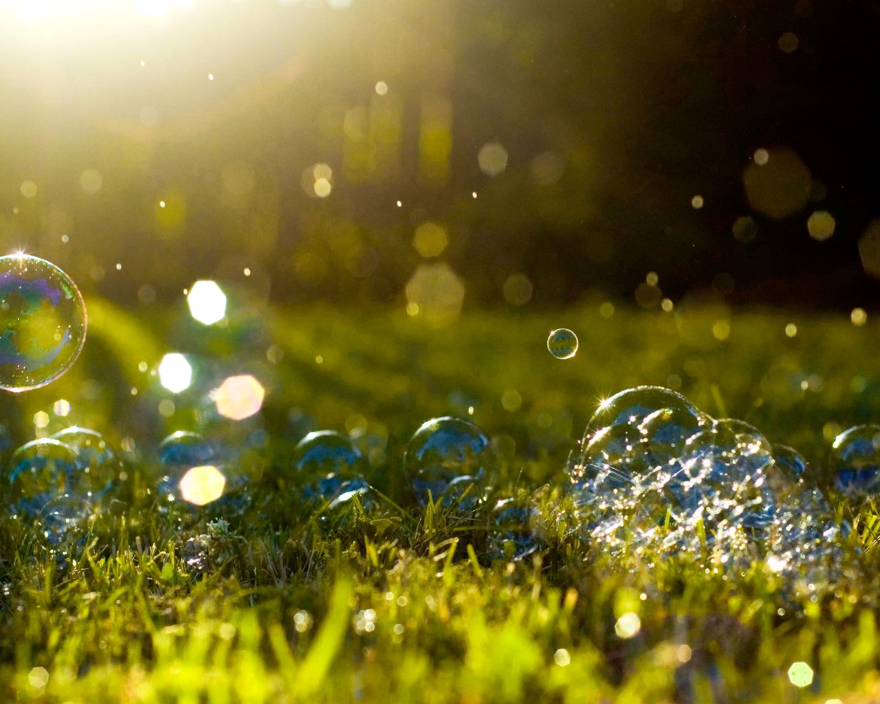 Обои трава, макро, блики, мыльные пузыри, солнечный свет, grass, macro, glare, bubbles, sunlight разрешение 2880x1800 Загрузить