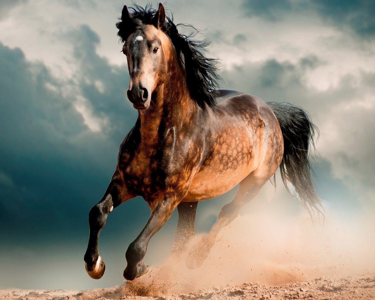 Обои лошадь, пустыня, конь, мустанг, скакун, horse, desert, mustang разрешение 1920x1337 Загрузить