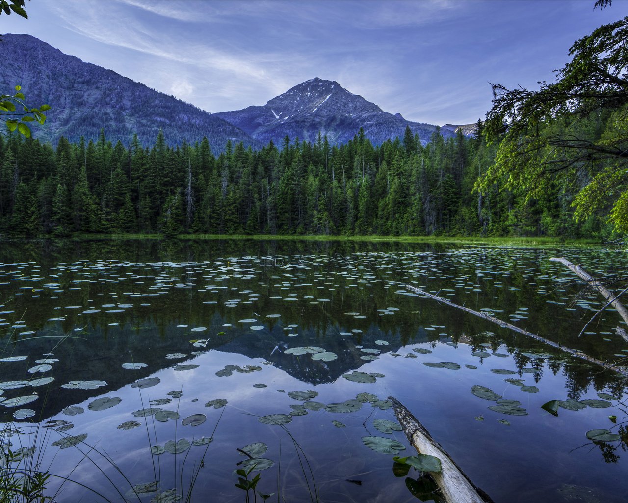 Обои озеро, горы, природа, лес, пейзаж, парк, сша, johns lake glacier, lake, mountains, nature, forest, landscape, park, usa, johns lake, glacier разрешение 5000x3315 Загрузить