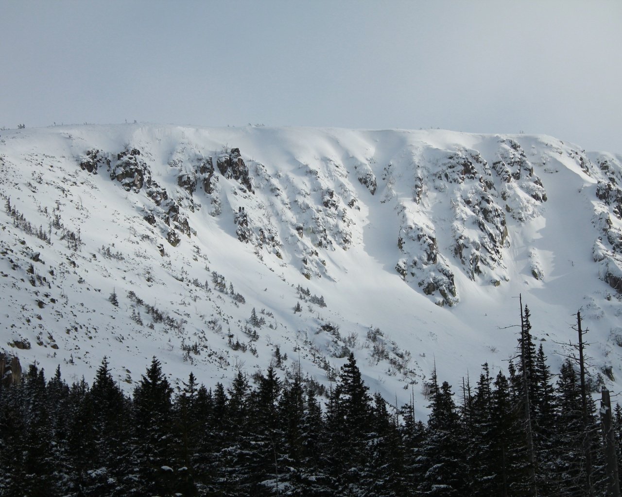 Обои горы, природа, лес, снежные вершины, mountains, nature, forest, snowy peaks разрешение 3840x2560 Загрузить