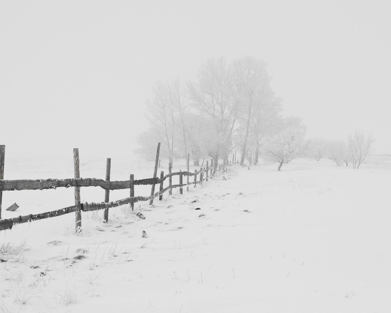 Обои дорога, деревья, снег, зима, мороз, забор, метель, road, trees, snow, winter, frost, the fence, blizzard разрешение 3780x2699 Загрузить