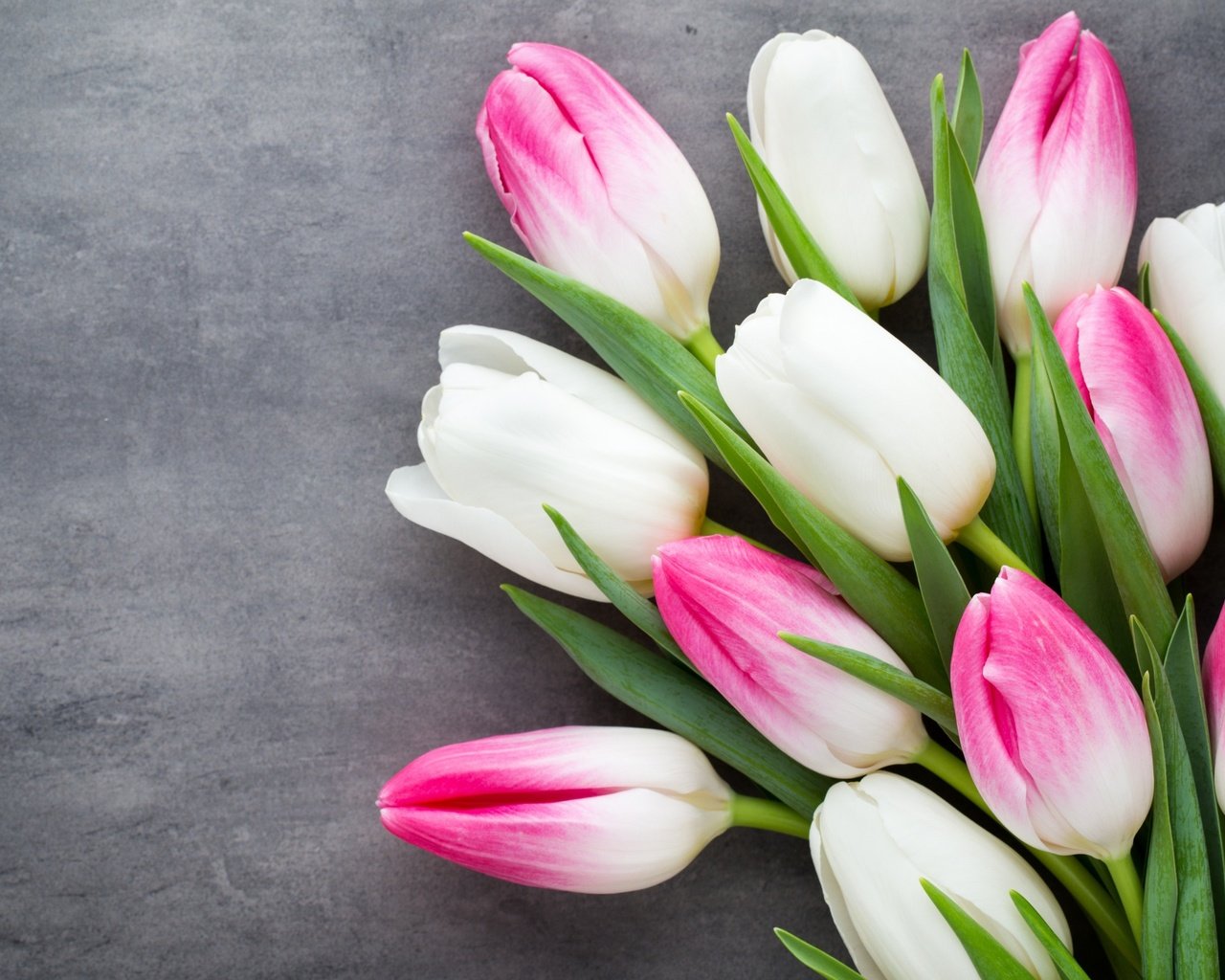 Обои цветы, бутоны, букет, тюльпаны, flowers, buds, bouquet, tulips разрешение 2880x1800 Загрузить