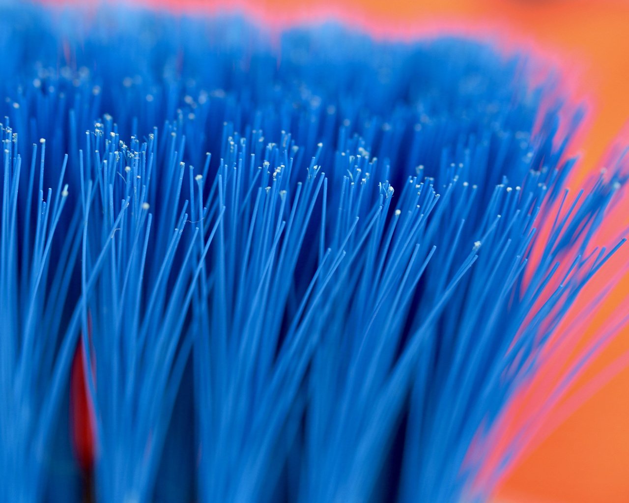 Обои макро, щетина, щётка, macro, bristles, brush разрешение 3840x2160 Загрузить