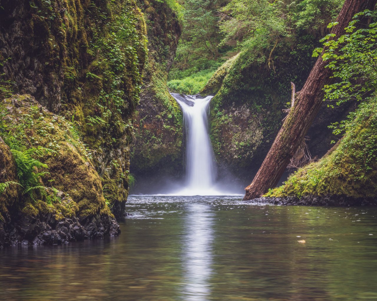 Обои вода, punchbowl falls, columbia river gorge, река, природа, растения, лес, водопад, поток, джунгли, water, river, nature, plants, forest, waterfall, stream, jungle разрешение 2000x1333 Загрузить