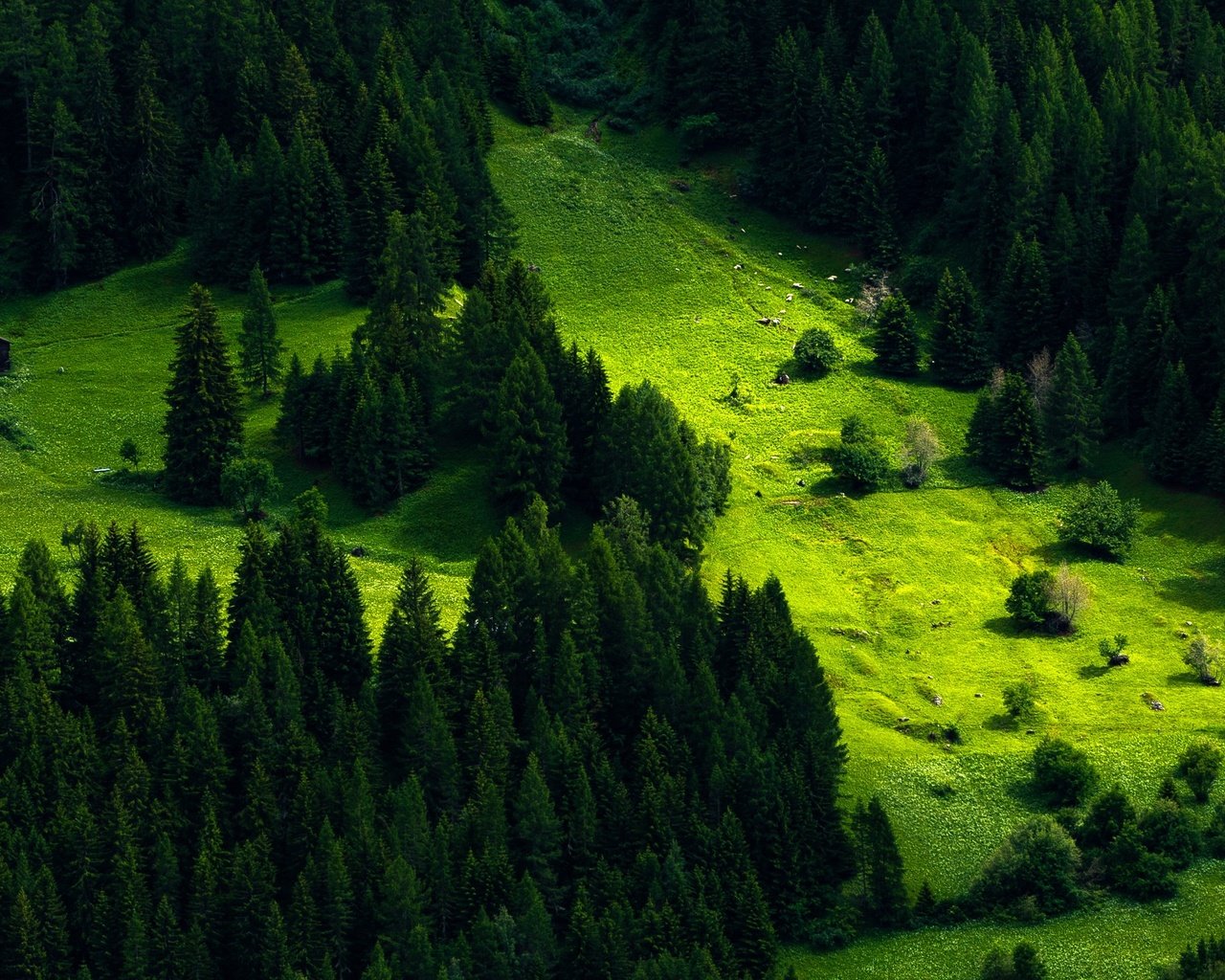 Обои трава, деревья, зелень, склон, гора, домики, швейцария, луг, grass, trees, greens, slope, mountain, houses, switzerland, meadow разрешение 2447x1406 Загрузить