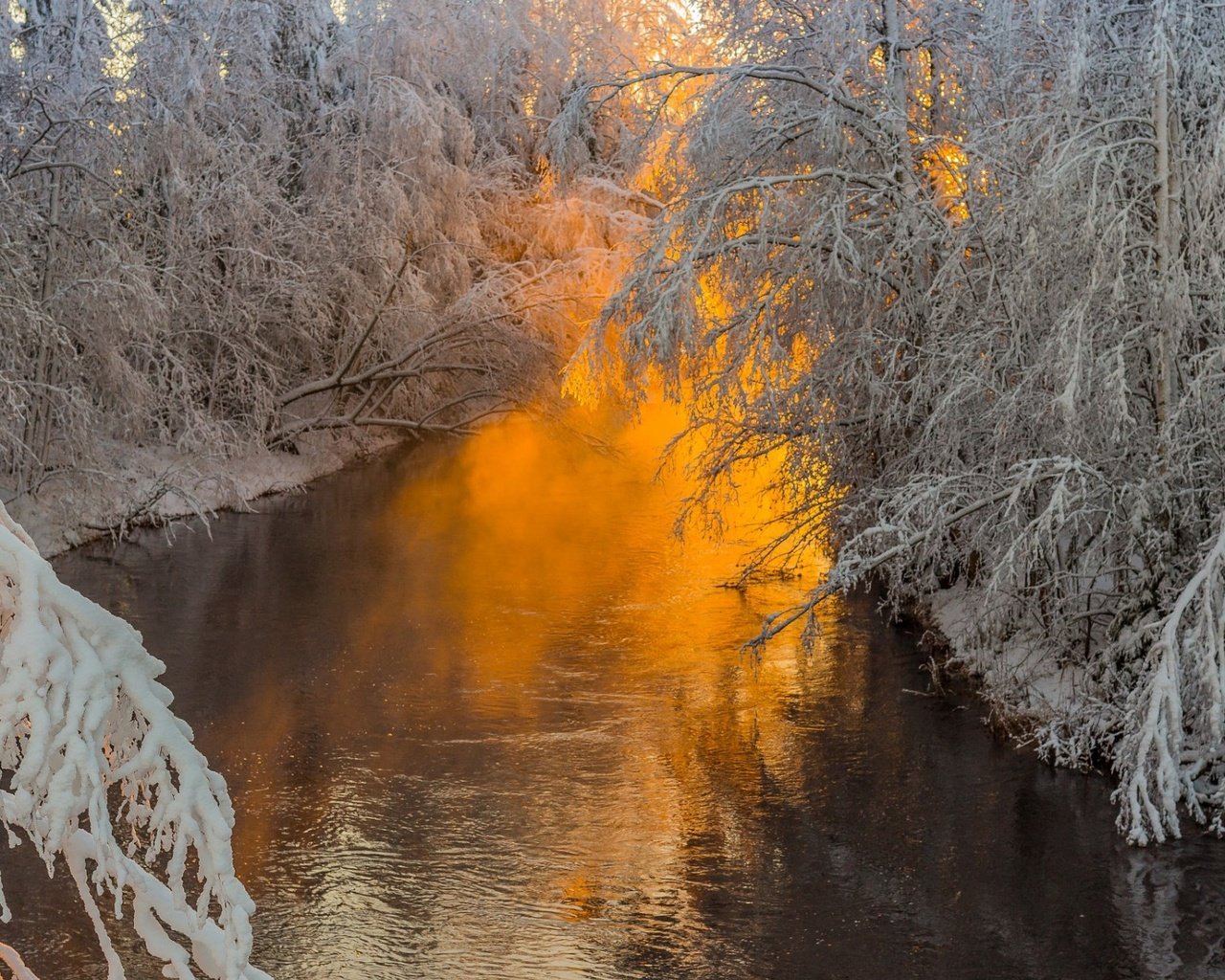 Обои деревья, река, природа, лес, ветки, иней, trees, river, nature, forest, branches, frost разрешение 1920x1200 Загрузить