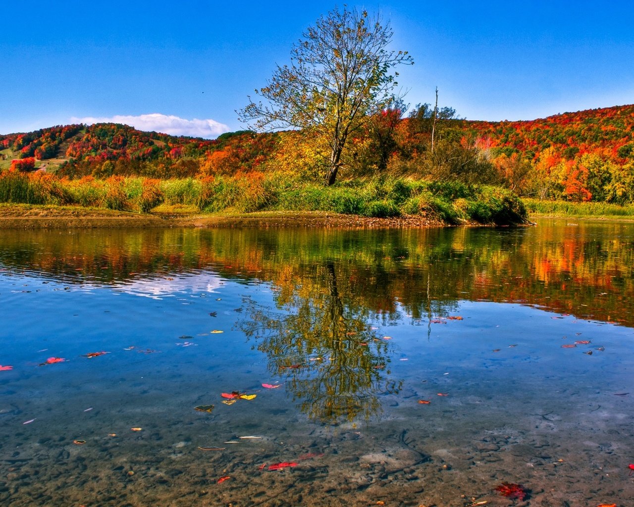Обои озеро, природа, лес, листья, пейзаж, осень, lake, nature, forest, leaves, landscape, autumn разрешение 1920x1200 Загрузить