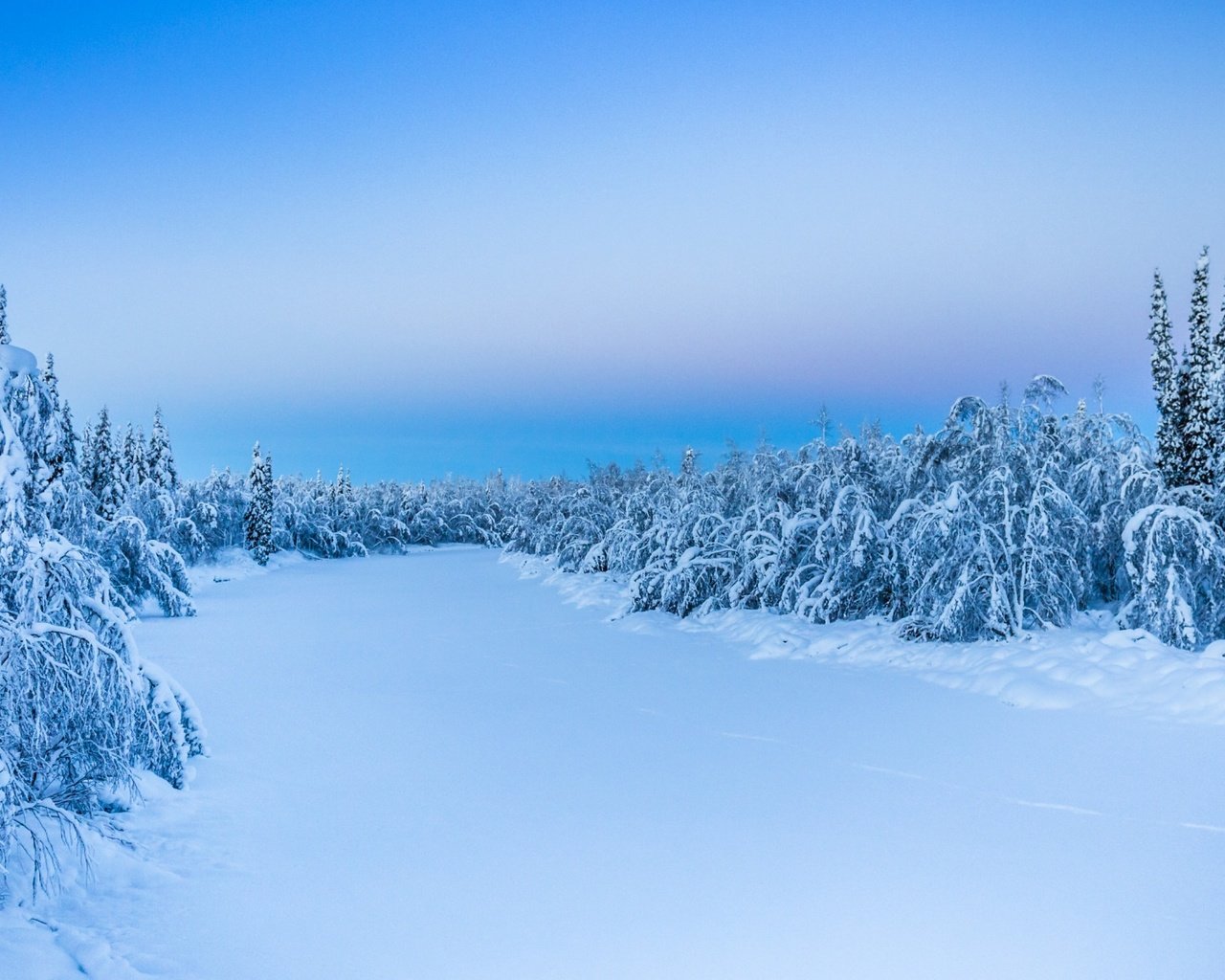 Обои деревья, снег, природа, лес, зима, trees, snow, nature, forest, winter разрешение 1920x1200 Загрузить