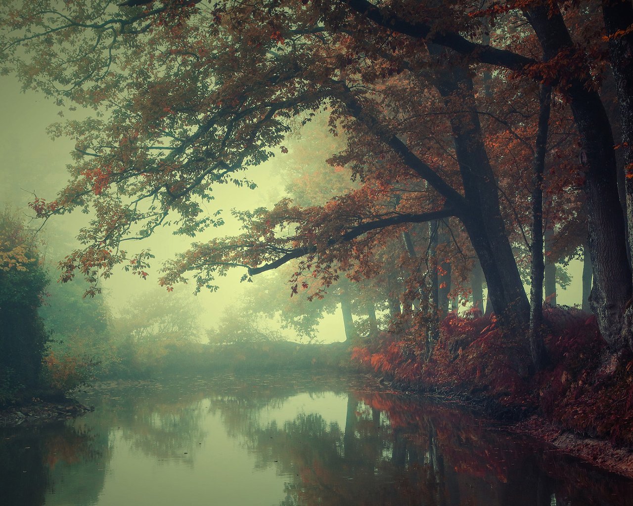 Обои река, природа, лес, туман, осень, river, nature, forest, fog, autumn разрешение 1920x1200 Загрузить