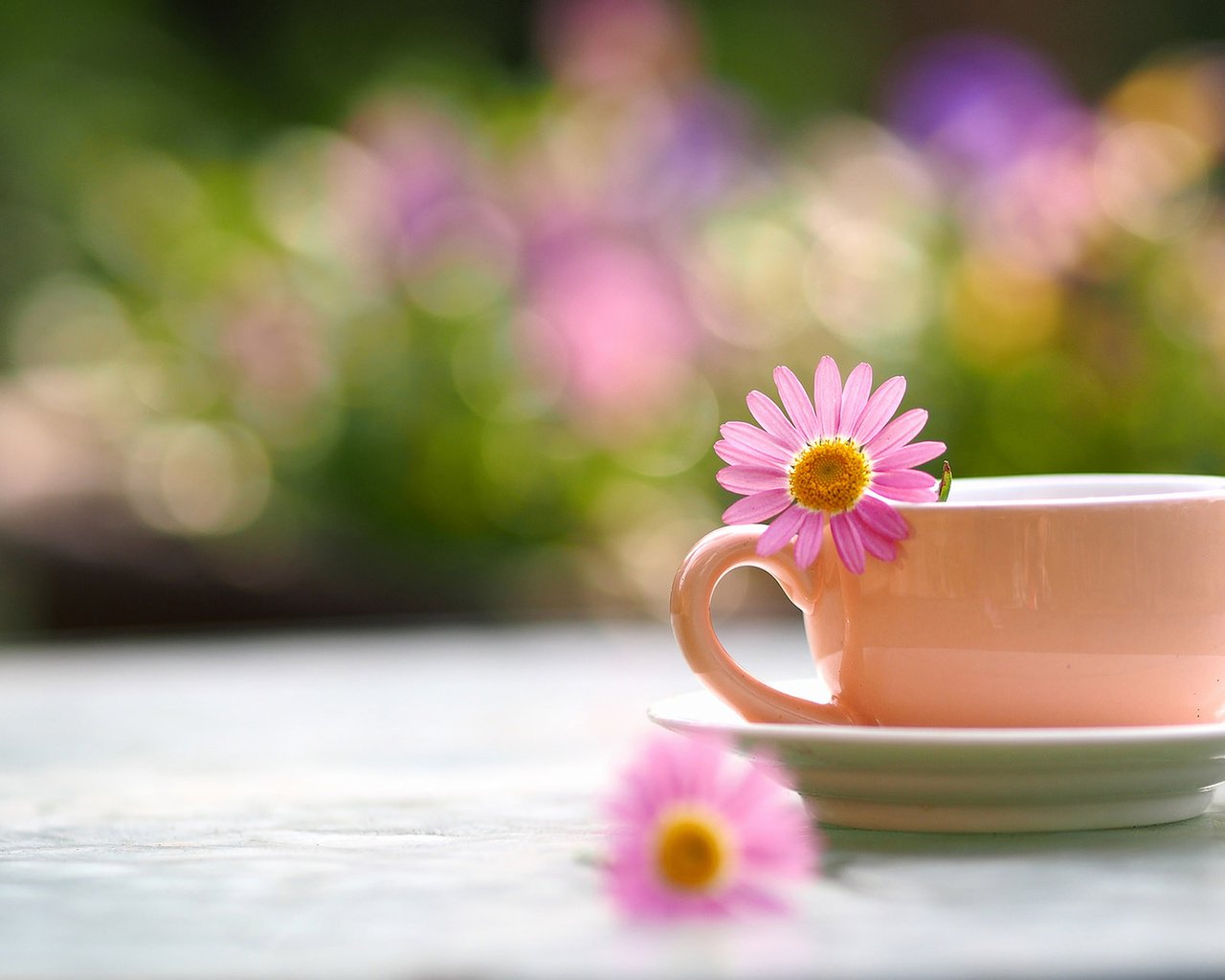 Обои цветок, лепестки, размытость, чашка, чай, flower, petals, blur, cup, tea разрешение 1920x1200 Загрузить