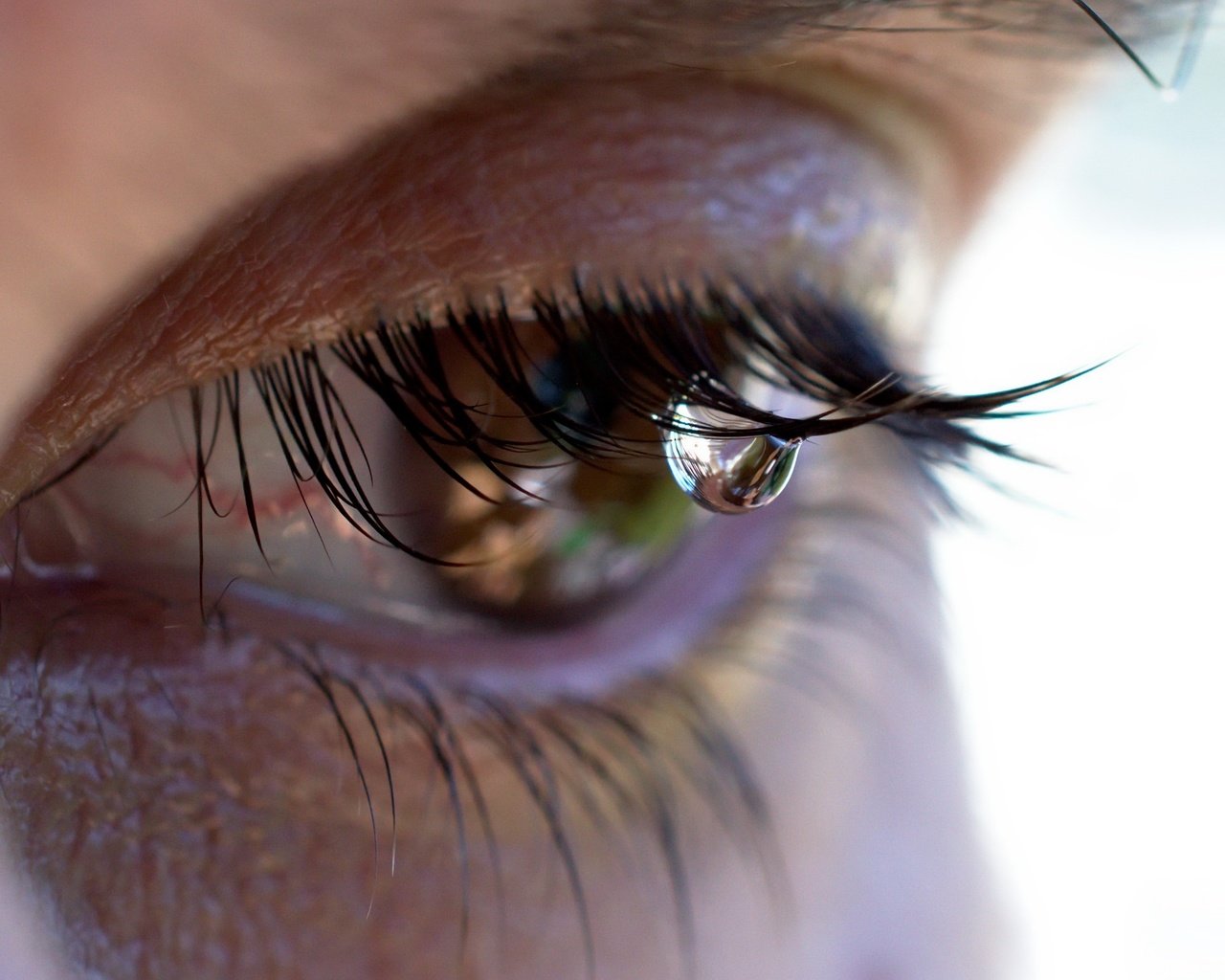 Обои девушка, макро, лицо, глаз, ресницы, слеза, girl, macro, face, eyes, eyelashes, tear разрешение 2560x1709 Загрузить