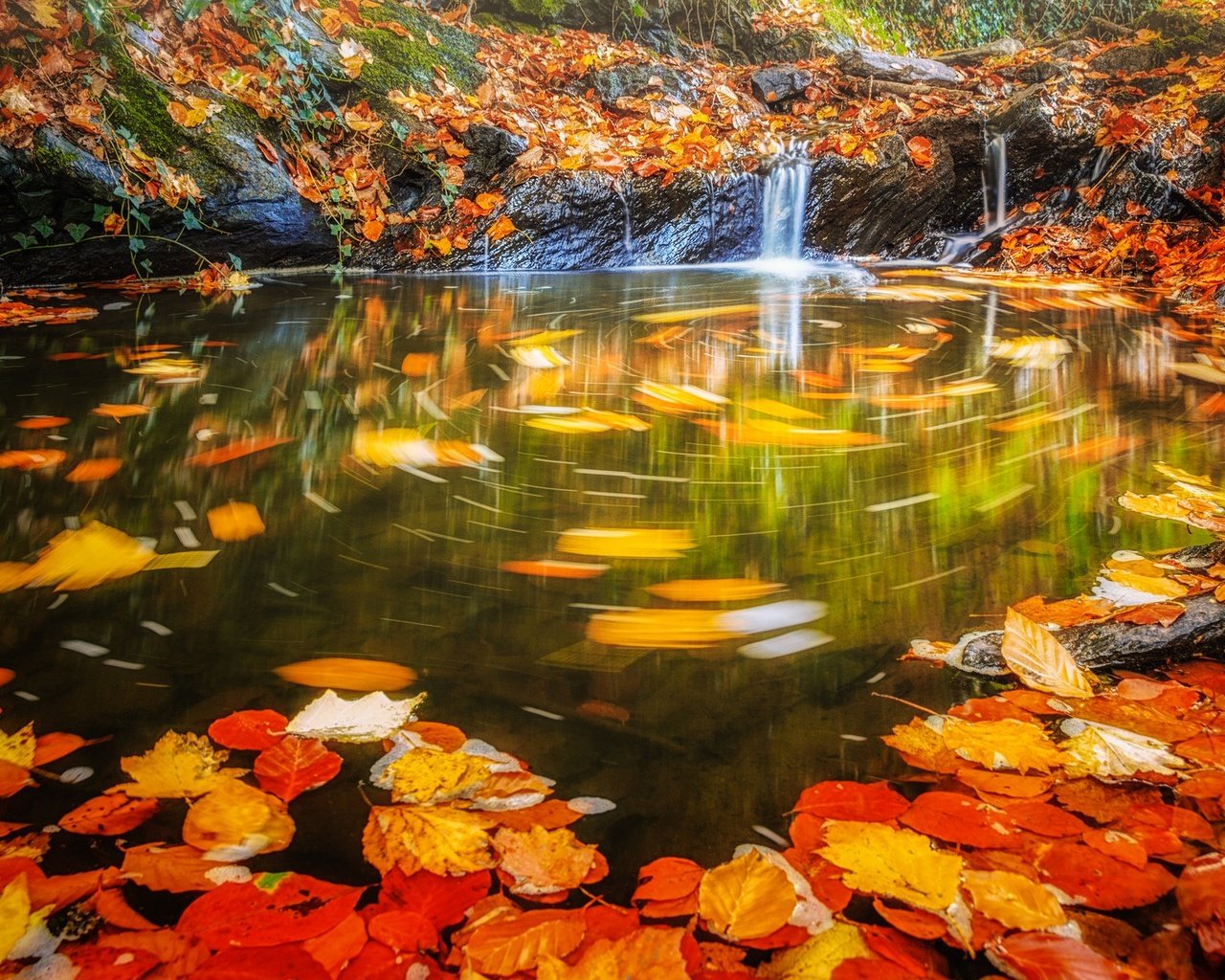 Обои вода, листья, водопад, осень, поток, water, leaves, waterfall, autumn, stream разрешение 2048x1198 Загрузить