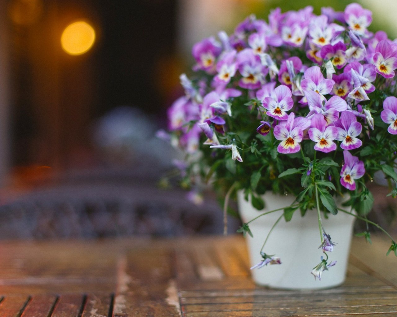 Обои цветы, букет, анютины глазки, боке, фиалки, flowers, bouquet, pansy, bokeh, violet разрешение 1920x1200 Загрузить