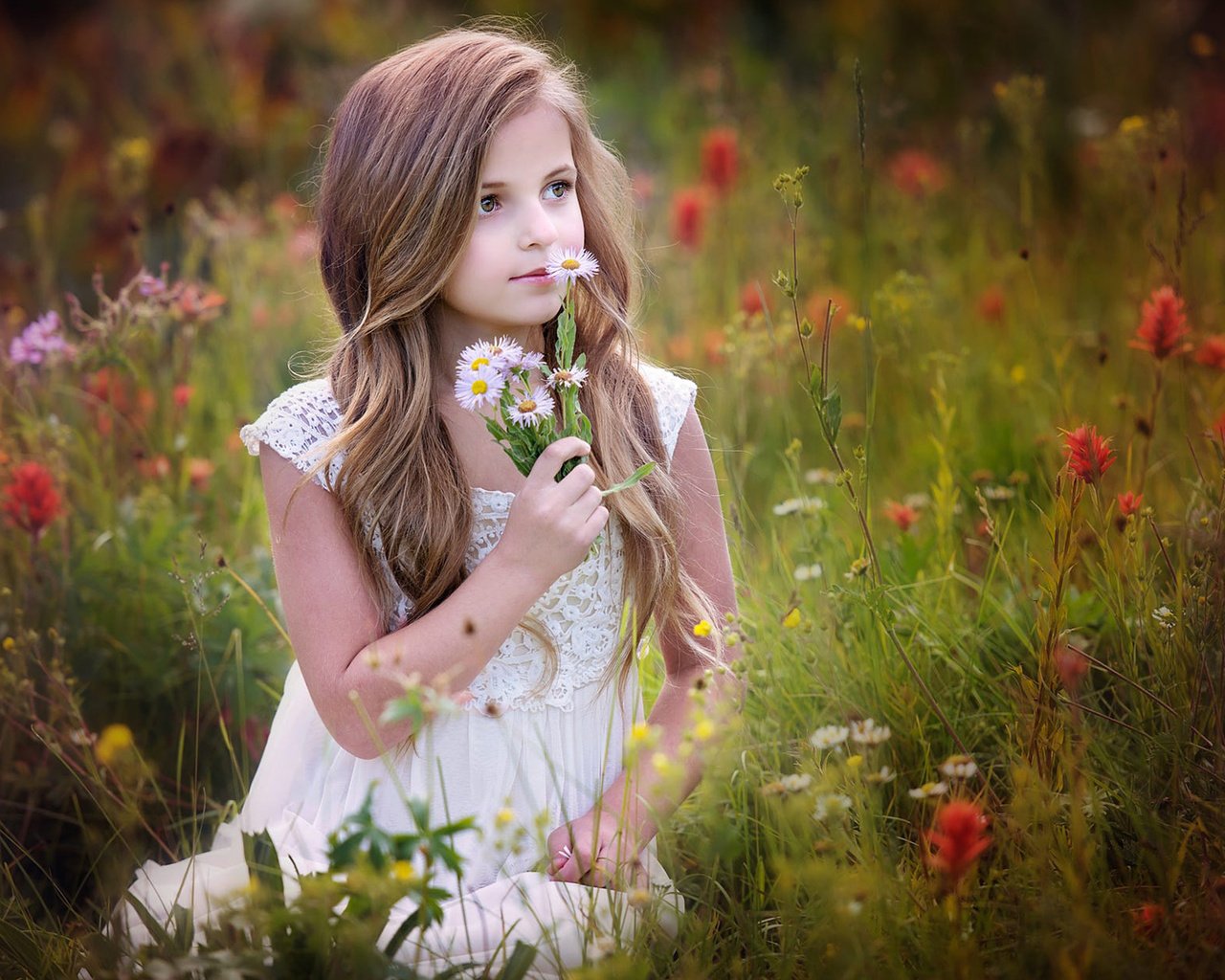 Обои цветы, настроение, девочка, ребенок, полевые цветы, flowers, mood, girl, child, wildflowers разрешение 1920x1200 Загрузить