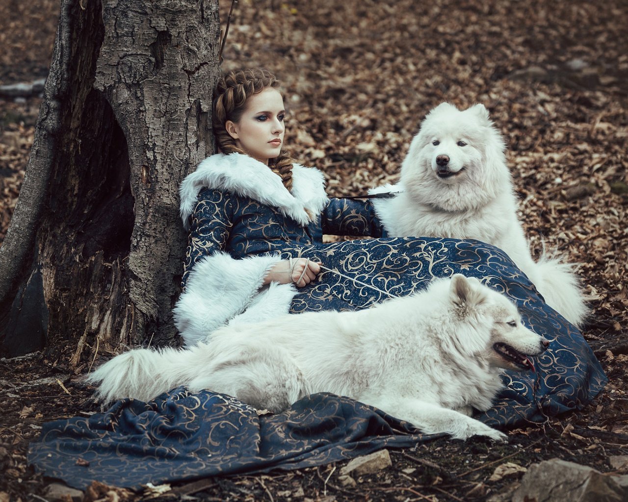 Обои девушка, друзья, собаки, самоеды, girl, friends, dogs, samoyeds разрешение 1920x1200 Загрузить