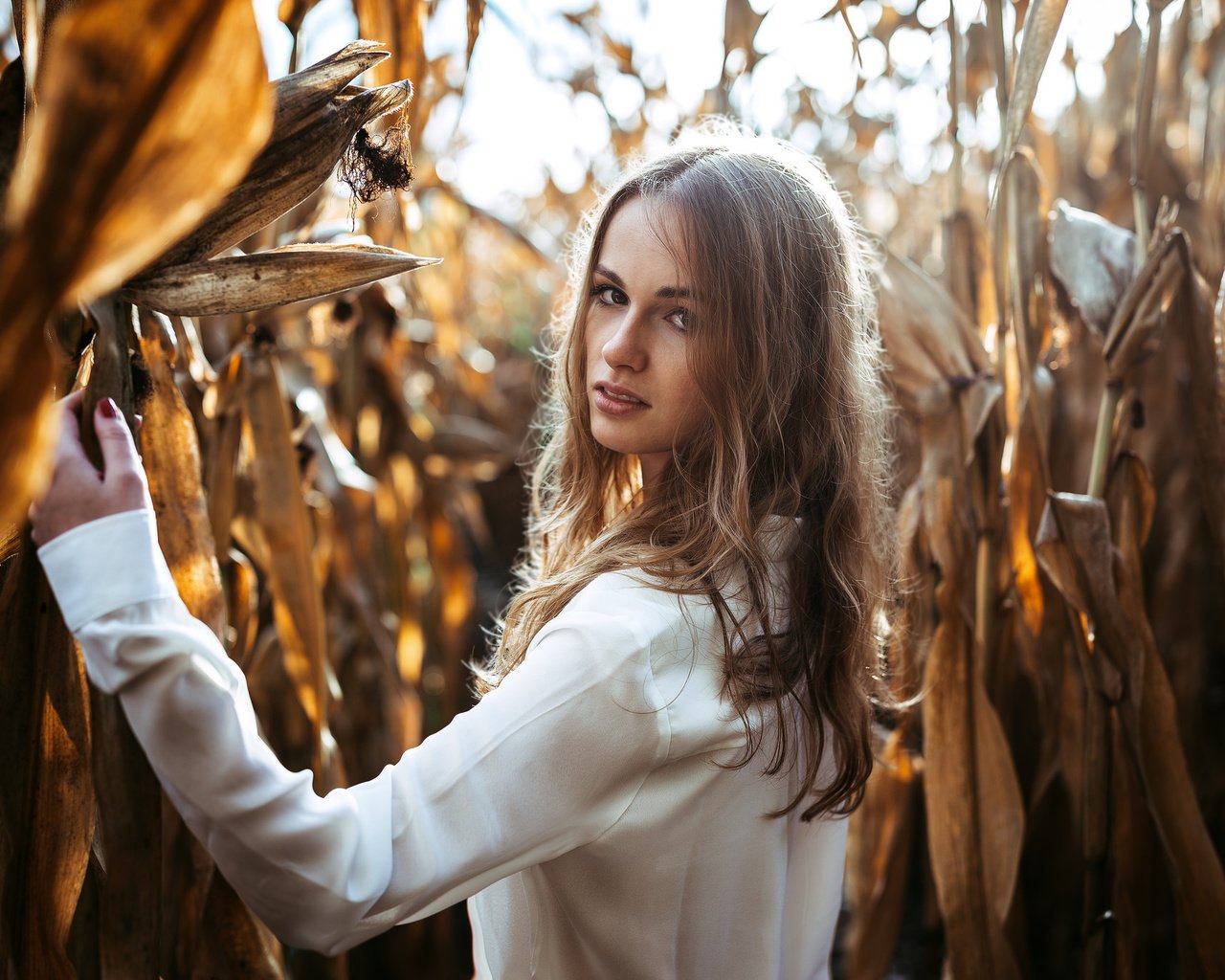 Обои девушка, портрет, взгляд, волосы, кукуруза, лицо, girl, portrait, look, hair, corn, face разрешение 2048x1365 Загрузить