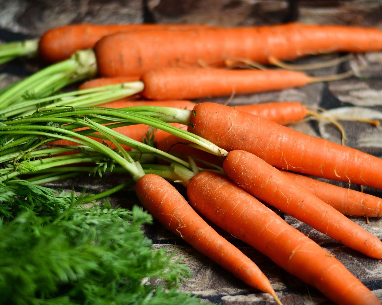 Обои урожай, овощи, морковь, harvest, vegetables, carrots разрешение 5561x2821 Загрузить