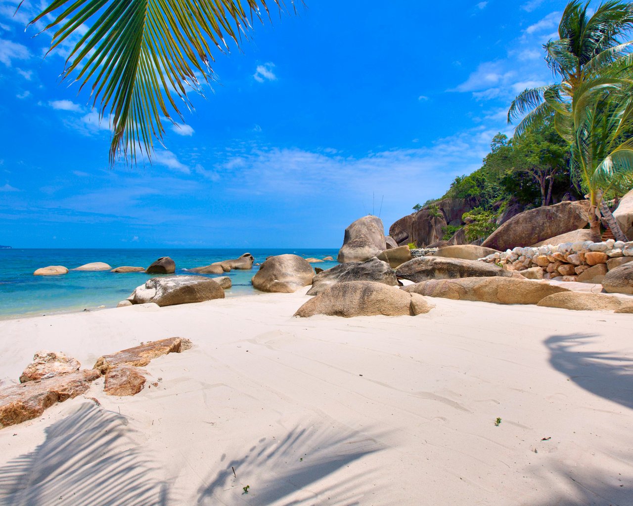 Обои море, пляж, остров, тропики, сейшелы, sea, beach, island, tropics, seychelles разрешение 3941x2632 Загрузить