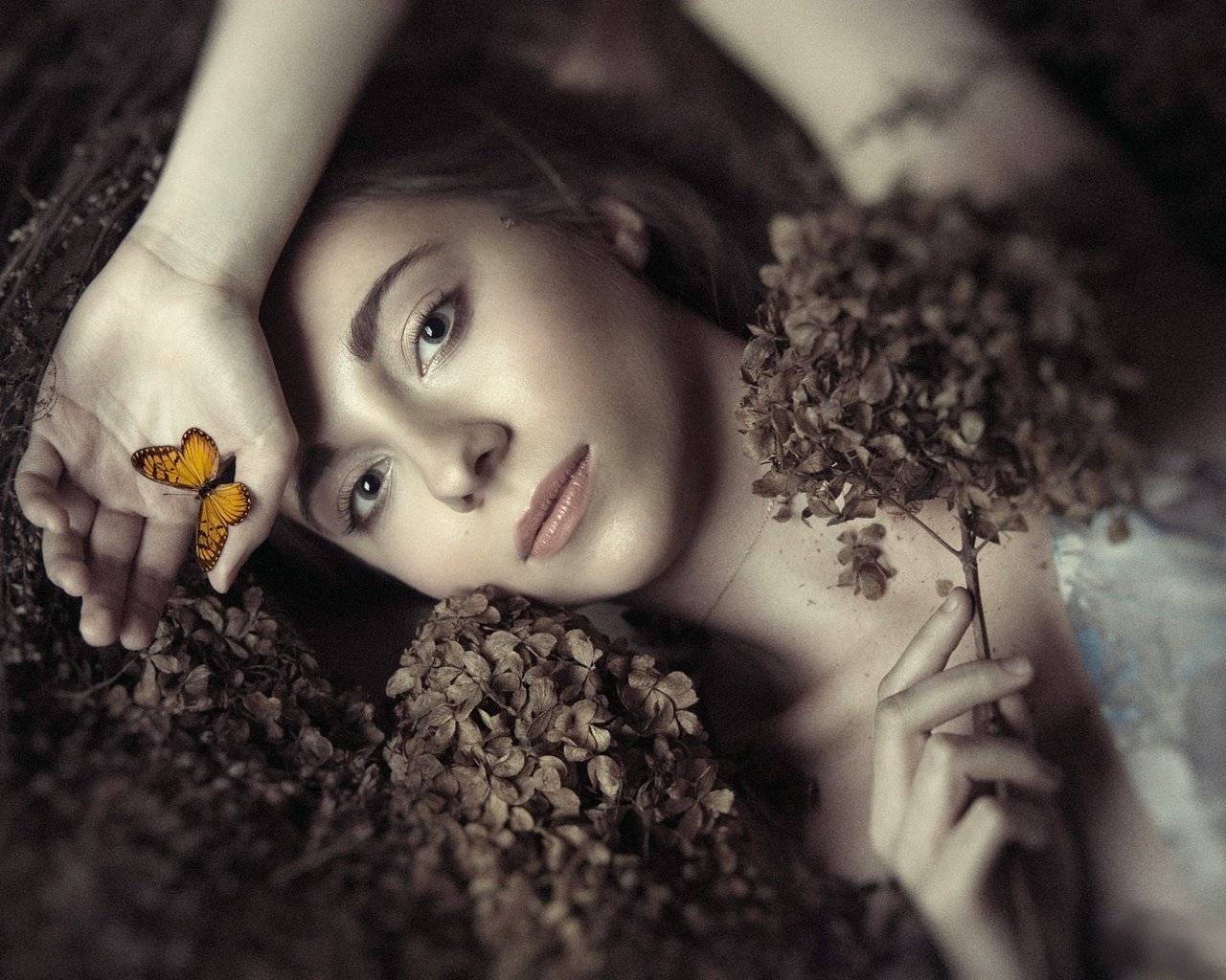 Обои цветы, девушка, портрет, бабочка, модель, фотосессия, ania, flowers, girl, portrait, butterfly, model, photoshoot разрешение 2000x1333 Загрузить