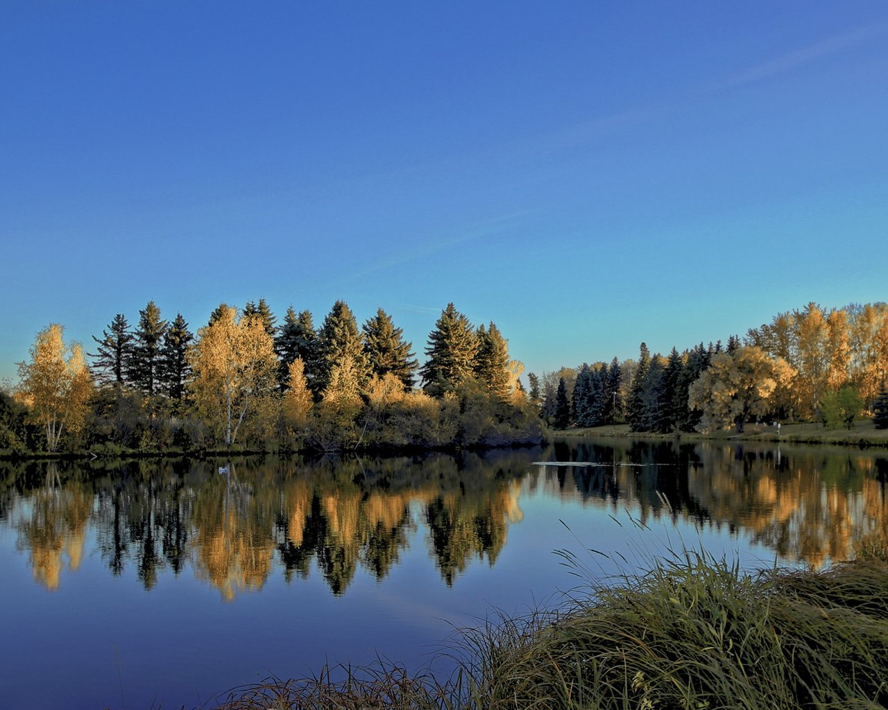 Обои небо, деревья, река, природа, лес, отражение, пейзаж, diego lapetina, the sky, trees, river, nature, forest, reflection, landscape разрешение 1920x1200 Загрузить