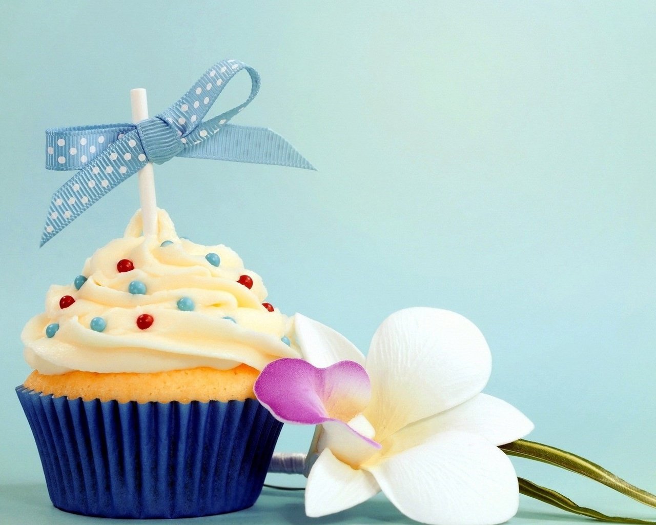 Обои бант, кулич, кекс, цветком, день рождение, bow, cake, cupcake, flower, birthday разрешение 1920x1080 Загрузить