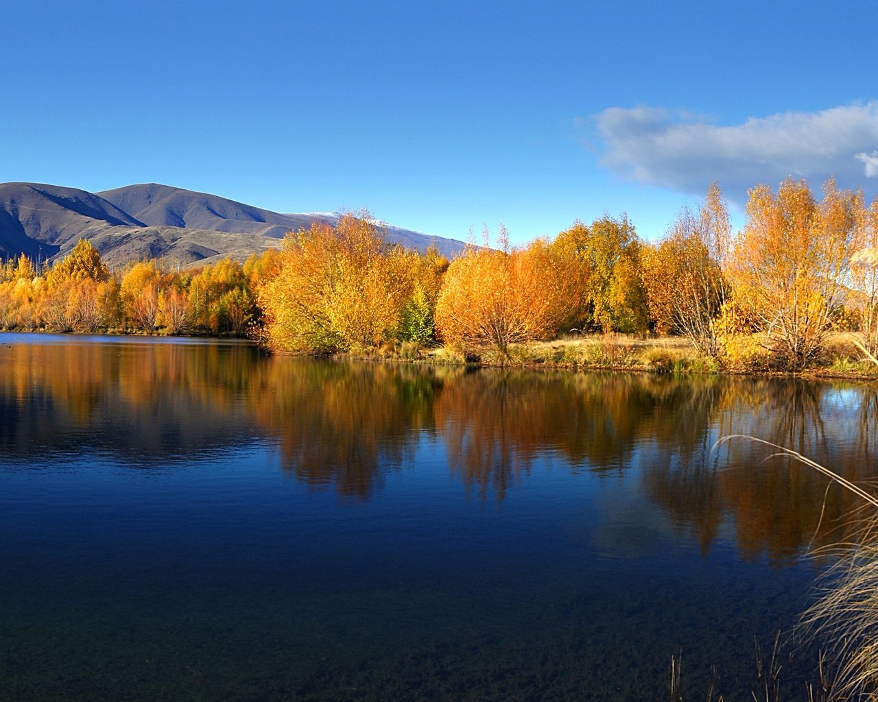 Обои небо, вода, озеро, осень, ивы, the sky, water, lake, autumn, willow разрешение 2400x1337 Загрузить