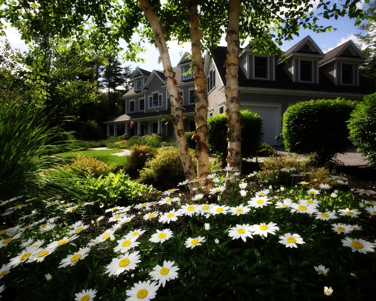 Обои цветы, трава, деревья, сад, дом, ромашки, лужайка, коттедж, flowers, grass, trees, garden, house, chamomile, lawn, cottage разрешение 4000x2776 Загрузить