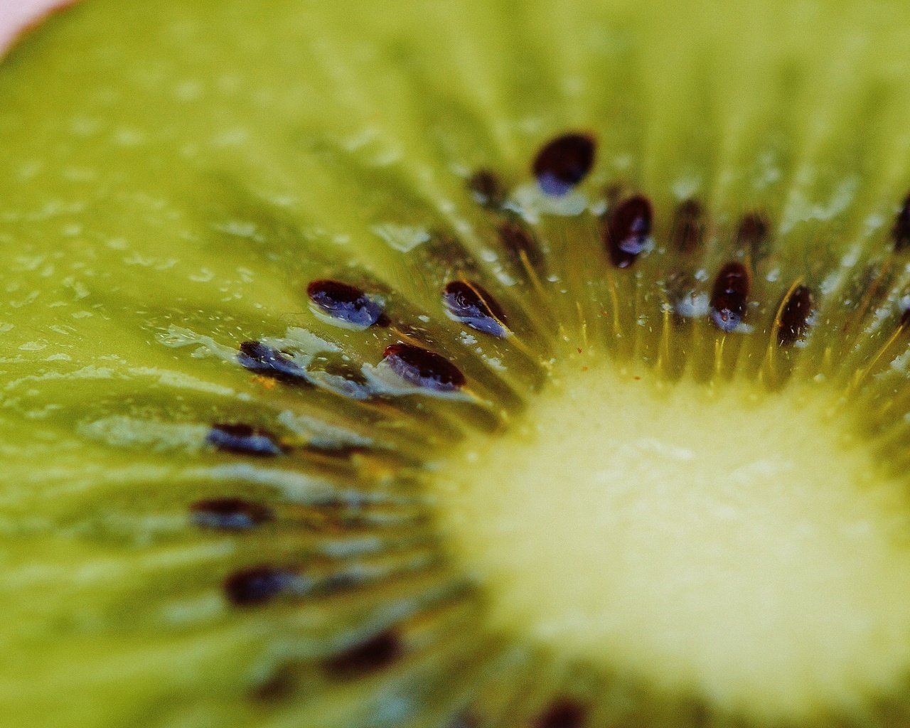 Обои фрукты, киви, крупным планом, fruit, kiwi, closeup разрешение 6016x4000 Загрузить