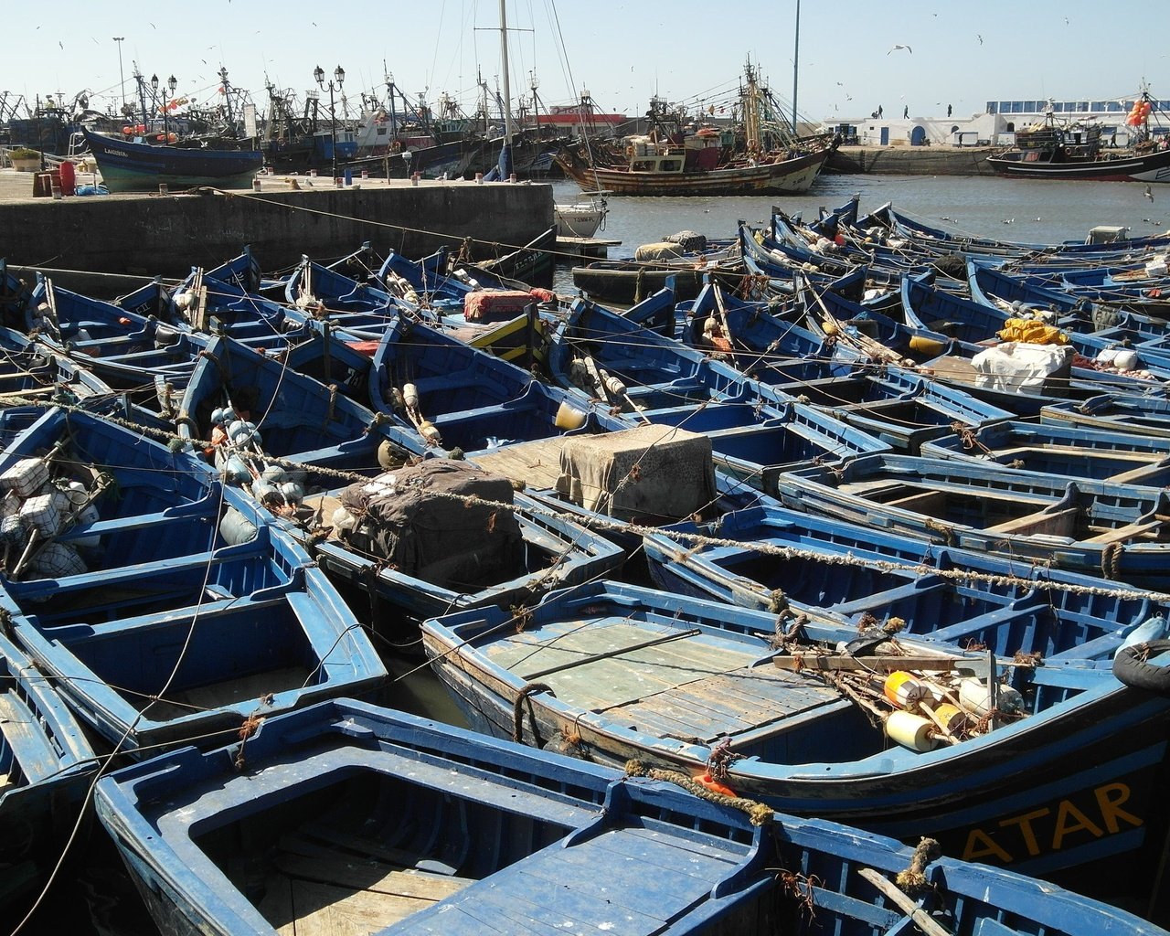 Обои берег, лодки, пристань, порт, марокко, рыболовное судно, эссаурия, shore, boats, marina, port, morocco, fishing vessel, essaouira разрешение 2592x1944 Загрузить